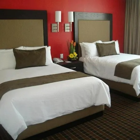 Meg Klaus Hotel